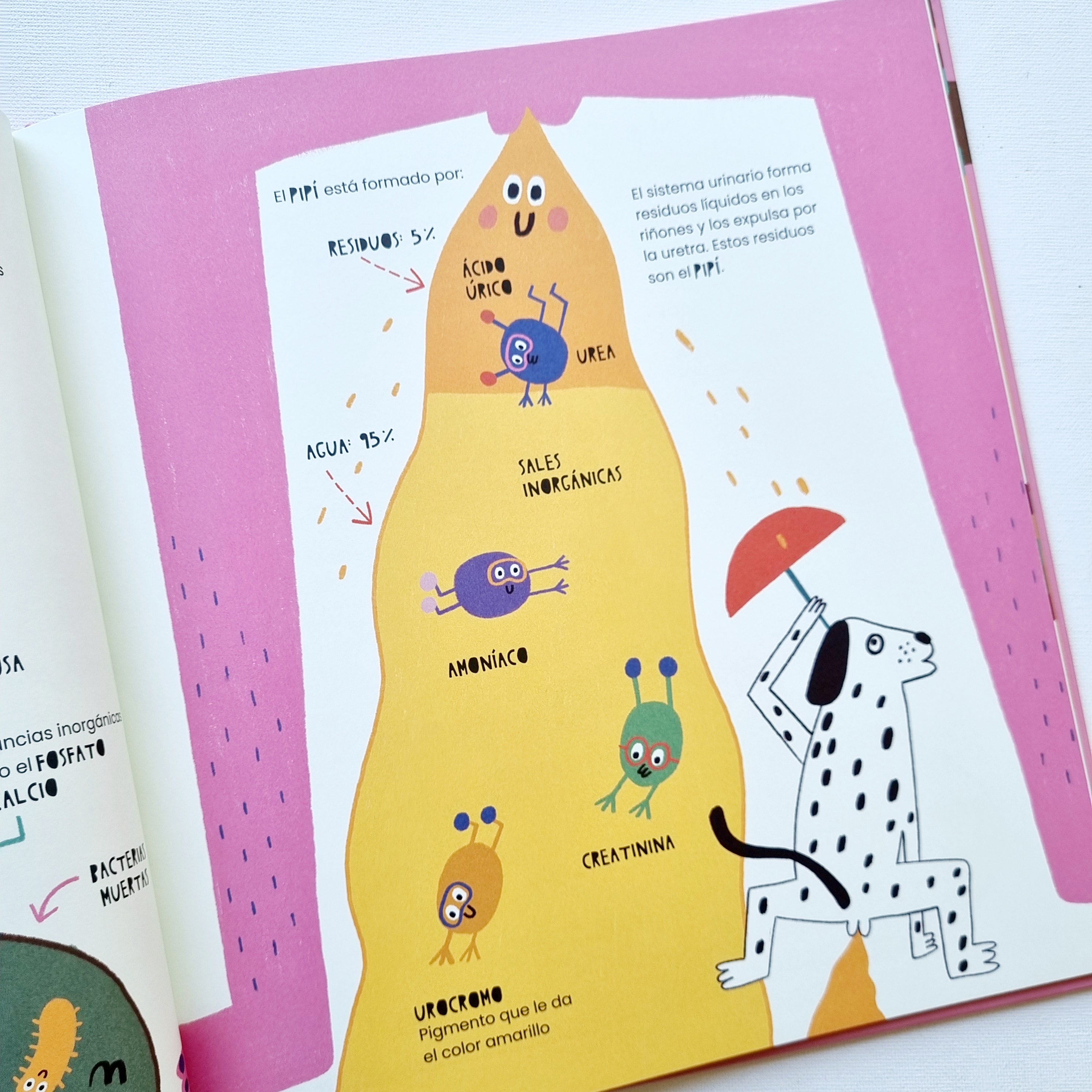 La vida secreta del pipi y la caca La vida secreta del pipi y la caca